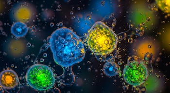 Abstracto. Formas orgánicas bioluminiscentes de colores azul, verde y amarillo flotan en un líquido oscuro, rodeadas de numerosas burbujas de gas.