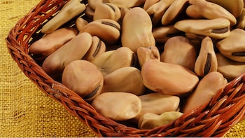 En 2025, el sector de