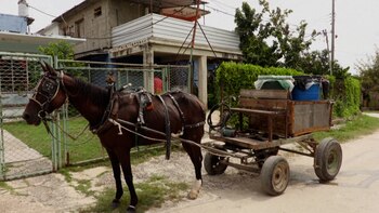 La escasez de agua colma la paciencia de los cubanos