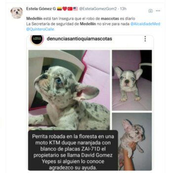 Denuncia en redes sociales