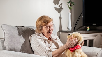 Un perrito robot para cuidar a tus padres en su vejez