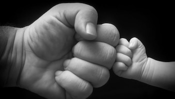 paternidad