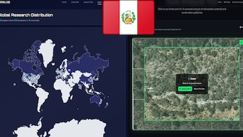 Dos equipos peruanos llegan a