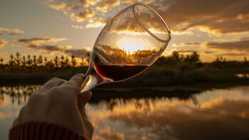 Las bodegas locales abren sus