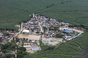 Imagen 4OCKYLIVCFH5FKVFDWDULBSXA4