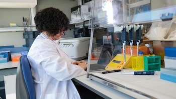 Sociedades científicas dicen que la burocracía "lastra" a los investigadores que destinan el 40% de su tiempo a papeleo