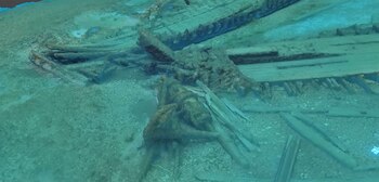 Este descubrimiento fue el resultado