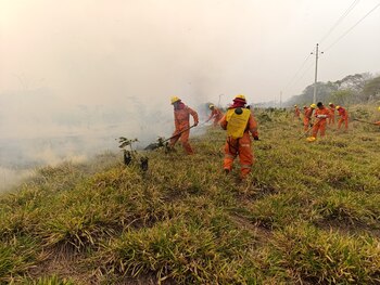 Un contingente de expertos y