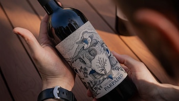 Este proyecto vitivinícola argentino tiene