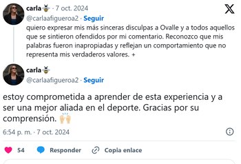 La usuario se disculpó con