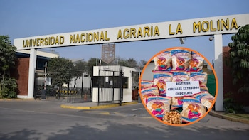 Científicos peruanos desarrollan cereal a base de pota con alto contenido de hierro para combatir la anemia infantil
