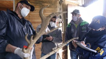 Parte del material secuestrado