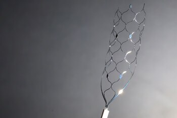 Apple busca establecer un estándar