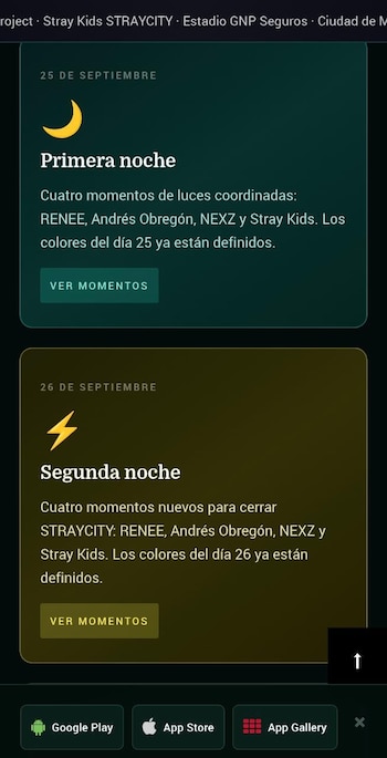 Stray Kids fanproject México. (Captura de pantalla)