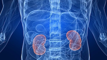 Prevención y atención equitativa: las