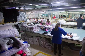 Aumentó el número de trabajadores