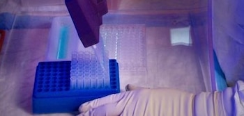 El fármaco se administra primero