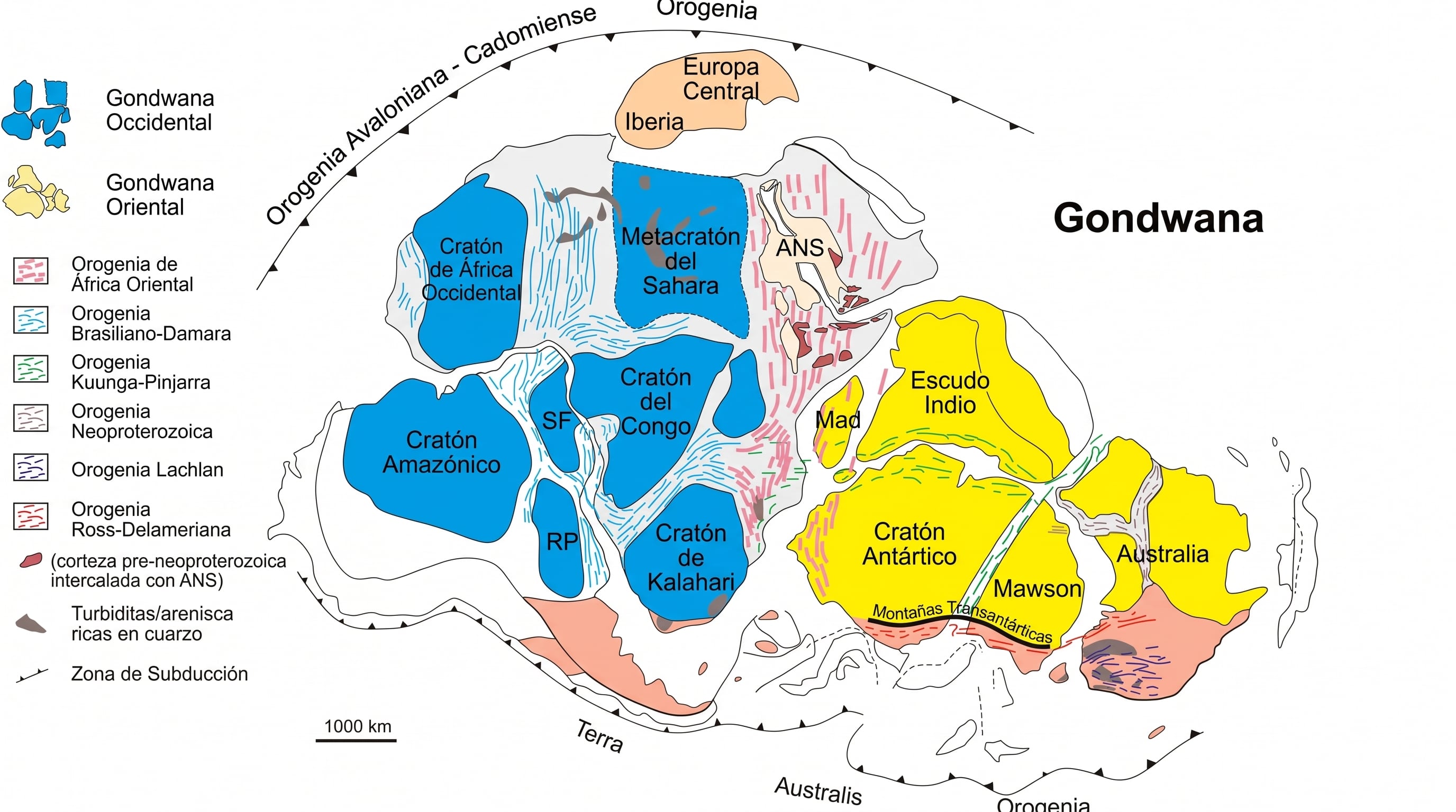 Las colisiones que formaron Gondwana levantaron cordilleras comparables o superiores al Himalaya entre hace 650 y 450 millones de años. (Bei Chen, Ian H. Campbell)