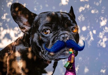 Una mujer con mascarilla pasa