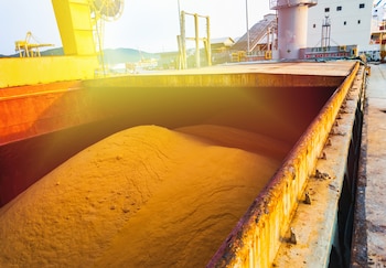 La producción agroalimentaria latinoamericana mantiene a la región como uno de los actores relevantes para la seguridad alimentaria global (Foto: Shutterstock)