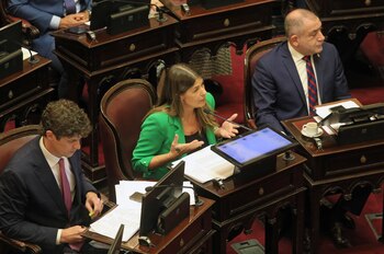 La senadora Guadalupe Tagliaferri habla