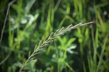 Un estudio académico indagó en