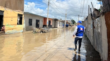 La disposición apunta a que