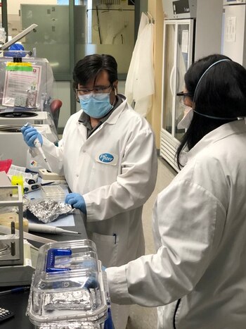 Pfizer había anunciado a fines