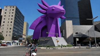 ‘Ajolotización’ de la CDMX: Sheinbaum palomea color morado y acusa que críticas son por rechazo a la cultura mexicana
