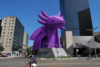 Escultura de un ajolote gigante de color morado intenso en una rotonda urbana de la Ciudad de México, con edificios altos y cielo azul de fondo, y un ciclista en primer plano