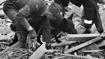 Jet durante las labores de