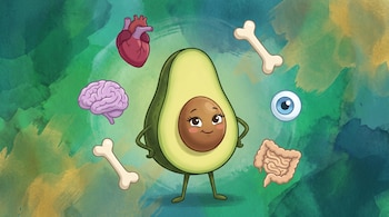 Ilustración de una palta sonriente en el centro, rodeada por un corazón, cerebro, dos huesos, un ojo y un intestino, sobre un fondo de acuarela verde y dorado.