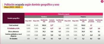 Población ocupada según dominio geográfico