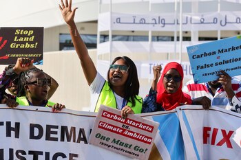 Expertos y activistas discrepan sobre