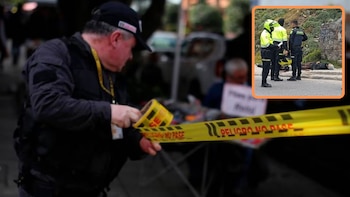 Dos presuntos ladrones cayeron a