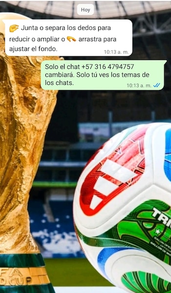 Los fondos de chats se pueden cambiar por imágenes relacionadas con el Mundial. (Foto: WhatsApp)