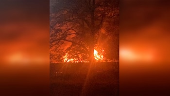 Un complejo turístico resultó con