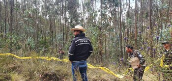 Imagen de la zona donde