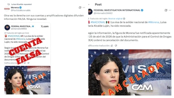 Morena confirmou que os Estados Unidos não revogaram o visto de Luisa María Alcalde. | X- Morena / X- Investigação Federal Internacional