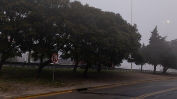 Neblinas y temperaturas templadas en