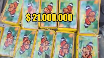 Una docena de paquetes amarillos rectangulares con imagen de mariposa naranja y el texto amarillo superpuesto "$21.000.000"