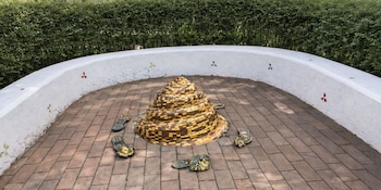 Organizaciones como UNICEF y la