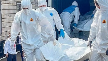 La ONU reveló que la