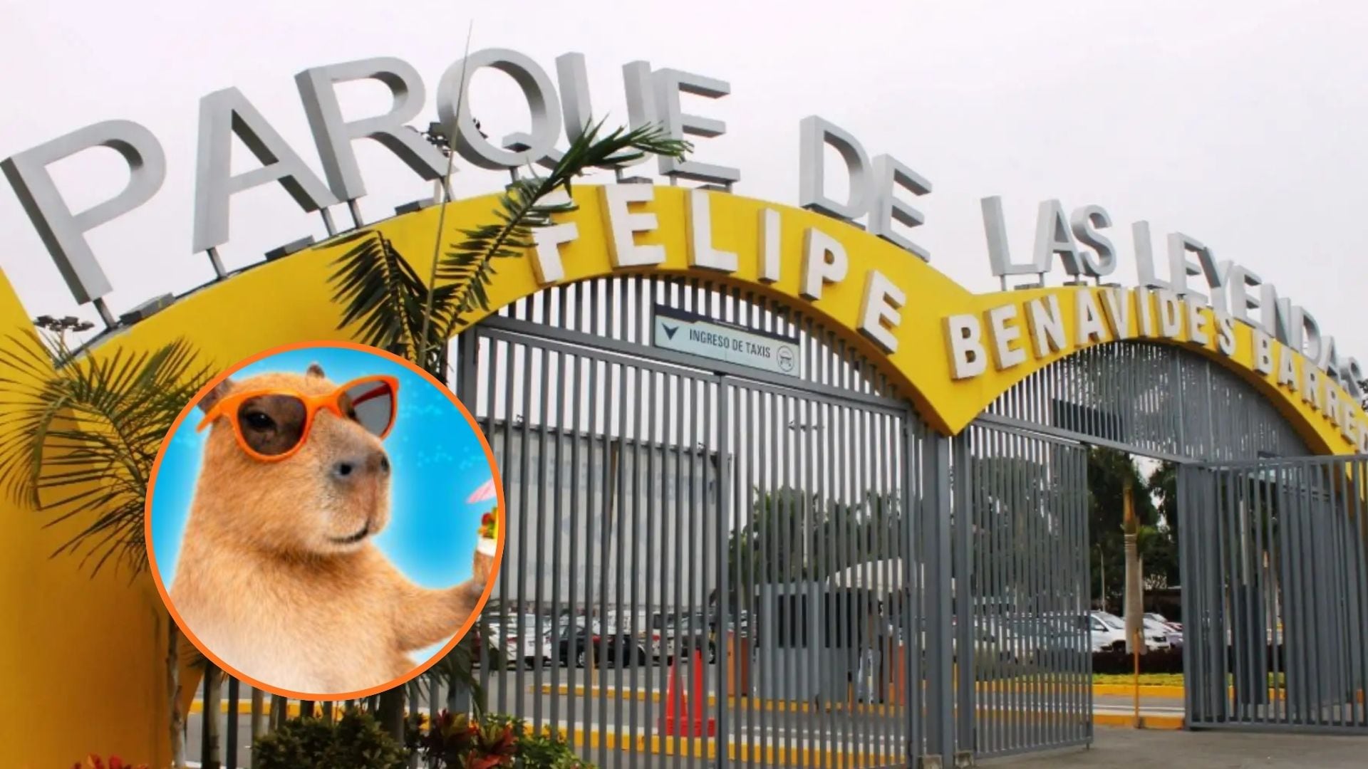 Una de las atracciones principales será “Al agua Capibara”, una experiencia acuática familiar bajo aspersores, junto a dinámicas como zumba al aire libre y la venta de merchandising exclusivo del roedor más grande del mundo - Créditos: Andina.