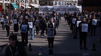 Cientos de activistas se concentran