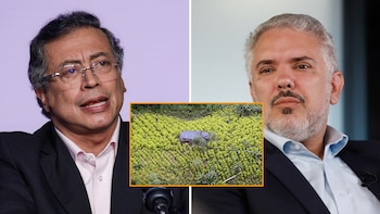 Informe de la Casa Blanca