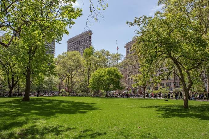 Madison Square Park obtuvo una plántula lunar por su condición de arboreto certificado de Manhattan y por su capacidad de conservación de especies