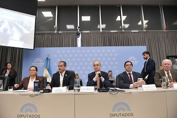Cinco personas sentadas en una mesa larga con micrófonos y carteles con nombres, delante de un fondo azul con el logotipo de Diputados Argentina