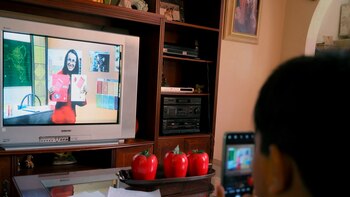 La Unicef estableció que el