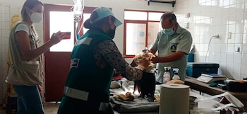 El desastre natural ha afectado